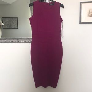 Fuchsia Ivanka Trump Dress